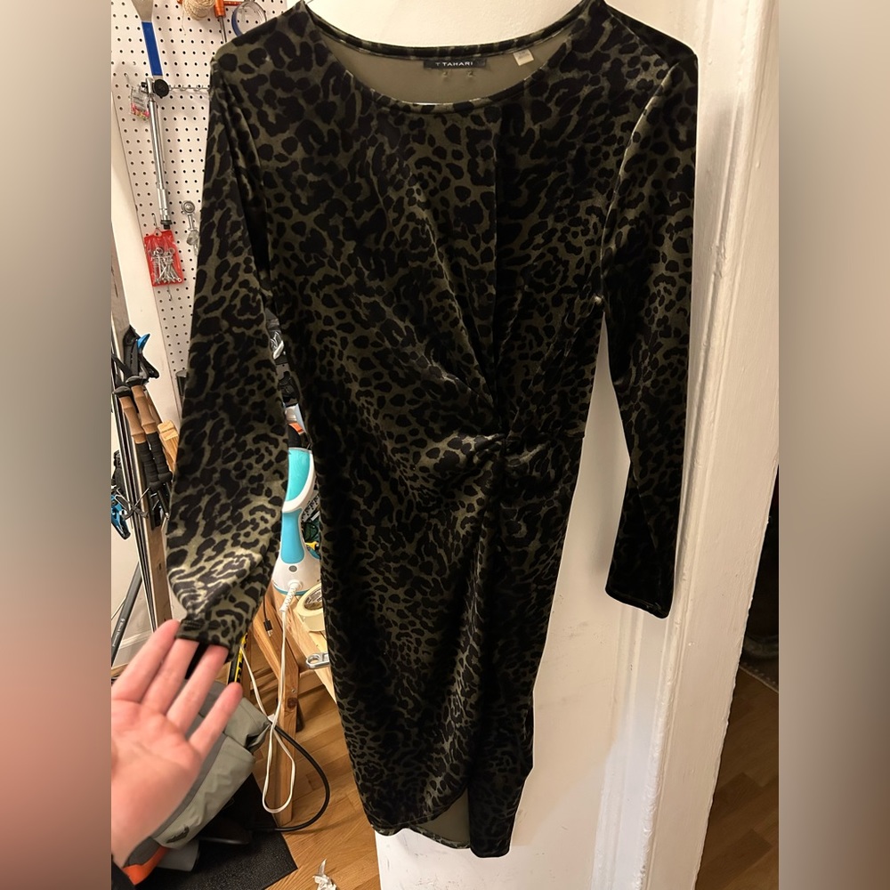 Leopard Print along Sleeve Dress